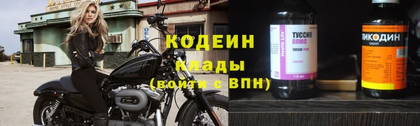 PSILOCYBIN Каменка