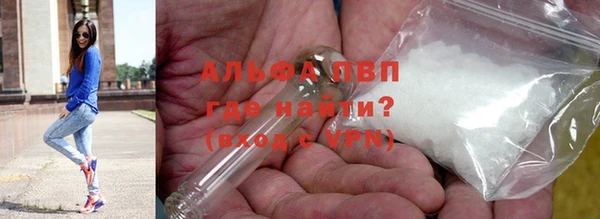 PSILOCYBIN Каменка