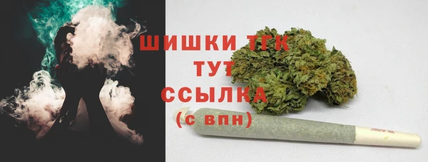 МДПВ Каменногорск