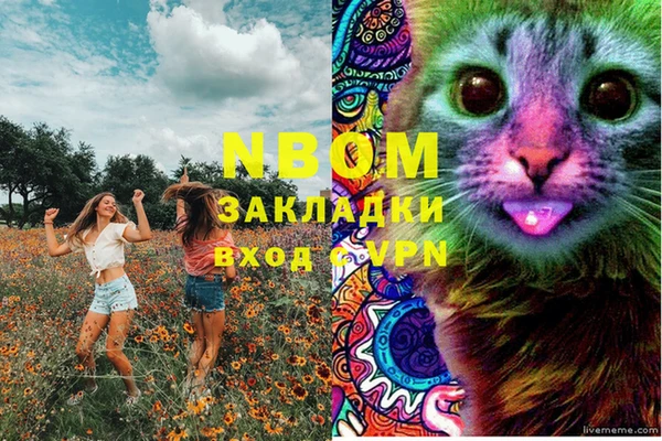 PSILOCYBIN Каменка