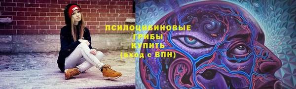 МДПВ Каменногорск