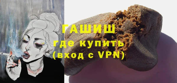 PSILOCYBIN Каменка